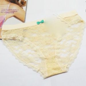 Beige XL sheer lace Panties. See through lace panties.